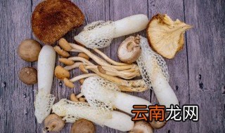 香菇是冷藏还是常温保存呢 香菇是冷藏还是常温保存