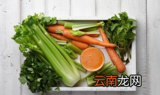 剩菜放在冷藏还是冷冻 剩菜冷藏还是常温保存