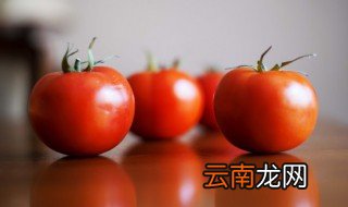 小西红柿要放冰箱保存吗? 小西红柿冷藏还是常温保存