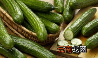 黄瓜冷藏保存还是常温保存 黄瓜常温保存还是冰箱冷藏