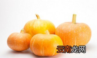 南瓜籽怎么种 南瓜籽怎么种发芽快
