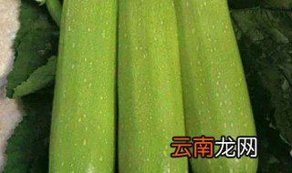 竹瓜是什么样的 什么是竹瓜
