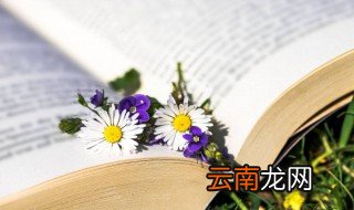 关于成功的道理的名人名言 关于成功的道理的名人名言精选
