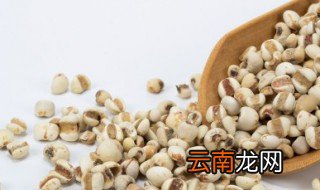 空气炸锅炸薏米要多长时间，空气炸锅炸米需多少时间