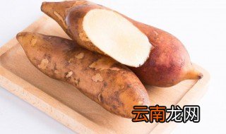 雪莲果怎么保存不发芽 雪莲果保存不发芽的方法