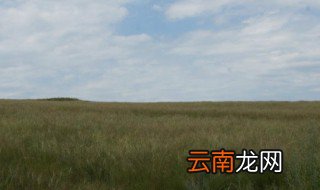 扎赉诺尔怎么读 扎赉诺尔如何读呢