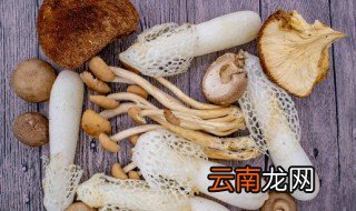 菌类汤过夜还可以吃吗 菌汤放一夜还能吃吗