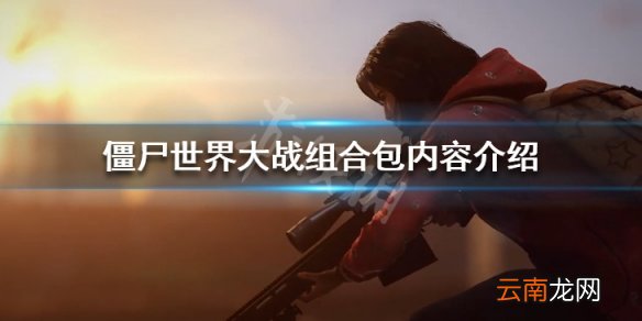 僵尸世界大战组合包有哪些 僵尸世界大战组合包内容介绍