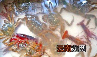 河蟹水煮煮几分钟熟 河蟹水煮几分钟能熟