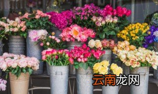 花怎么养才不死，养花不死的诀窍