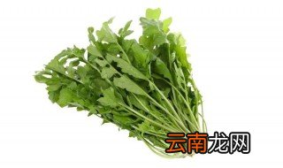 荠菜洗了第二天能吃吗 荠菜过夜了还可以吃吗