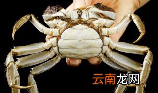 大闸蟹从冷藏室拿出来不动了还能吃吗 大闸蟹从冷藏室拿出来不动了可以继续食用吗