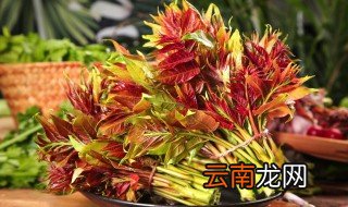 香椿放一夜还能吃吗 过夜的香椿还可以吃吗
