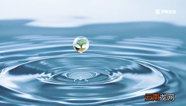 世界水日的由来背景和主题 世界水日怎么来的