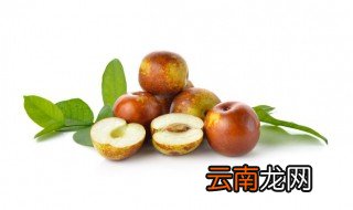 青枣怎么挑选好吃 如何挑选青枣