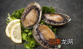 怎么养鲍鱼，怎么养鲍鱼?