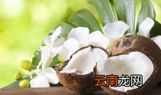 去皮椰青可以常温存放吗 去皮椰青常温保存还是冷藏