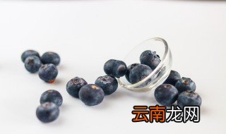 蓝莓冷藏还是常温保存好 蓝莓冷藏还是常温保存好些