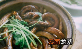 怎么养鳝鱼 怎样养鳝鱼