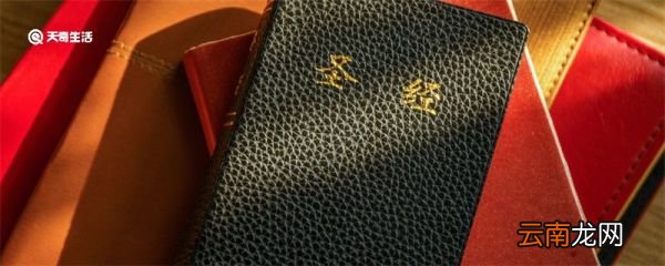 诺亚方舟是什么意思 诺亚方舟是什么