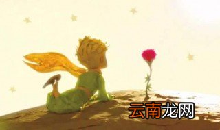 小王子和玫瑰花的寓意 小王子和玫瑰花的寓意是什么