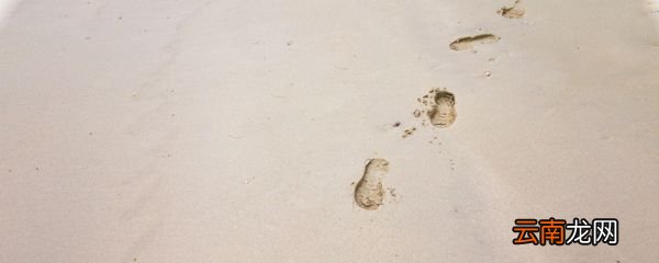 其实地上本没有路走的人多了意思其实地上本没有路走的人多了的意思