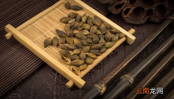 苍耳靠什么传播种子 苍耳靠什么传播种子呢