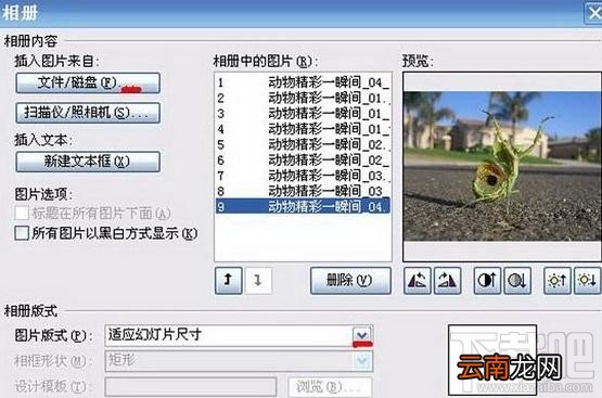 PowerPoint2016电子相册如何制作