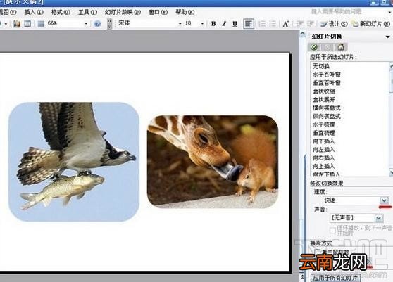 PowerPoint2016电子相册如何制作