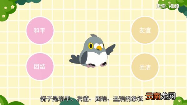 为什么鸽子代表和平 为何鸽子代表和平