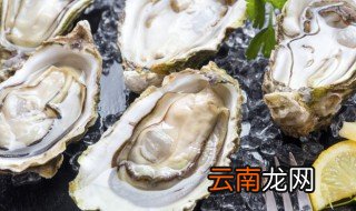 生蚝怎么去内脏 生蚝如何去内脏