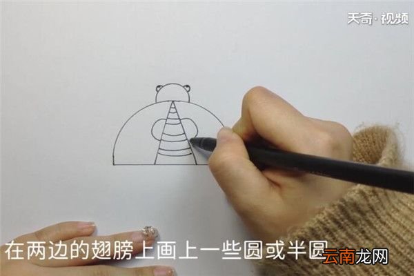 甲壳虫的画法