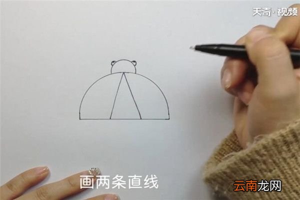 甲壳虫的画法