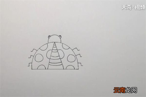 甲壳虫的画法