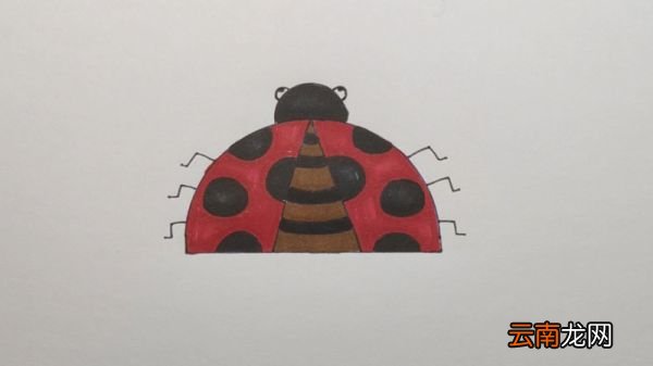 甲壳虫的画法