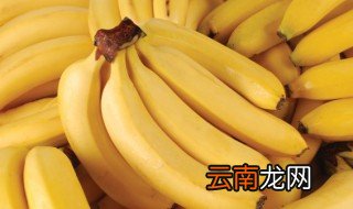 苹果蕉和芭蕉有何区别? 苹果蕉和芭蕉有什么区别