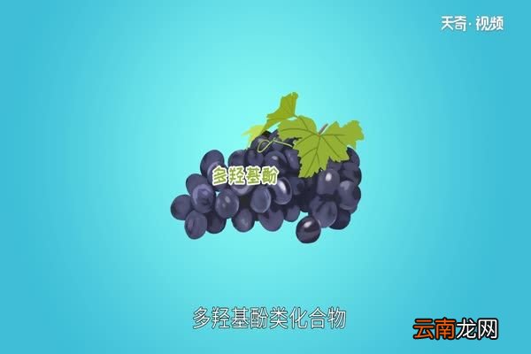 提子皮可以吃吗 提子皮有什么作用