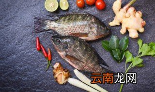 怎样挑选鱼头好吃 鱼头怎么样好吃