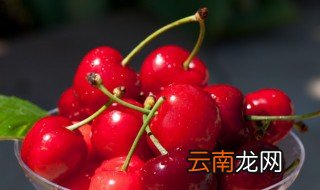 怎样挑选好吃车厘子，怎样挑选好吃车厘子品种
