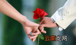 玫瑰花束怎么养才能养活 玫瑰花束怎么养