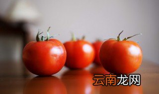 番茄怎样挑选好吃又简单 番茄怎样挑选好吃