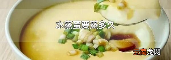 水蒸蛋要蒸多久