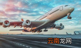 国际航班托运行李箱最大尺寸 国际航班托运行李箱最大尺寸是多少