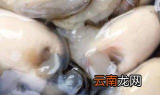 刚剥出来的生蚝肉怎么保存 刚剥出来的生蚝肉如何保存