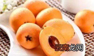 枇杷如何挑选 枇杷怎样挑选