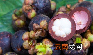 山竹怎么选购 山竹选购方法