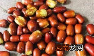 生枣怎么储存时间长 生枣如何储存时间长