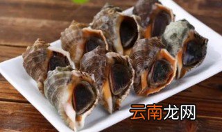 海螺是冷水下锅煮多久可以吃 海螺是冷水下锅煮多久