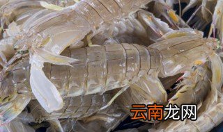 皮皮虾怎样放保鲜 皮皮虾放保鲜的方法