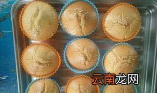 刚烤好的蛋糕怎么保存一个晚上 刚烤好的蛋糕保存一个晚上的方法